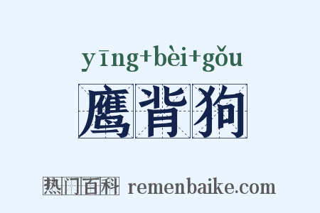 鹰背狗是什么意思的图片